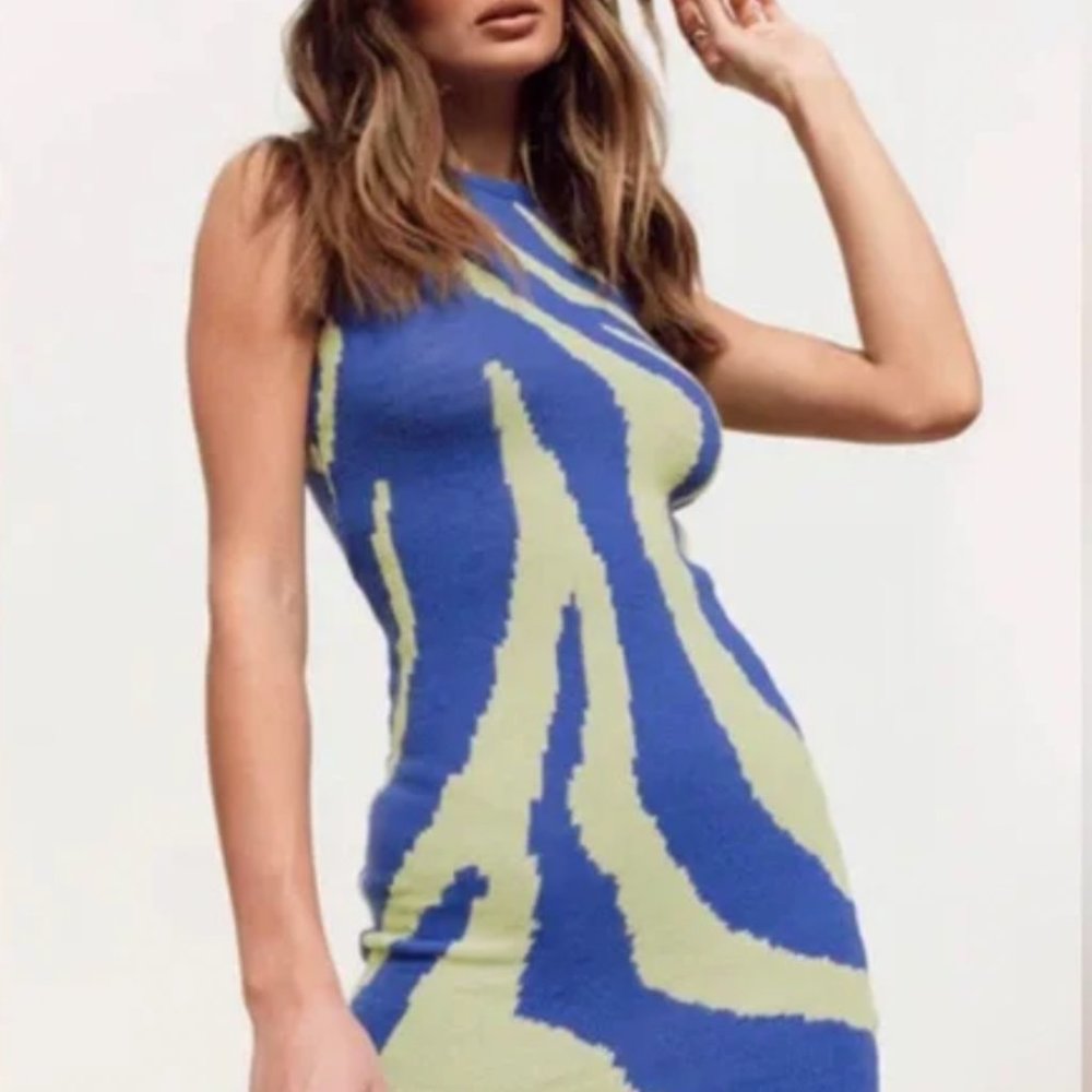 Princess Polly Dress
